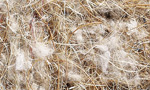 product 107 142 16d45
