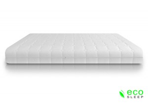 Biorest-1
