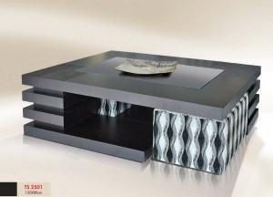 TS-2501