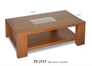 TS-2515